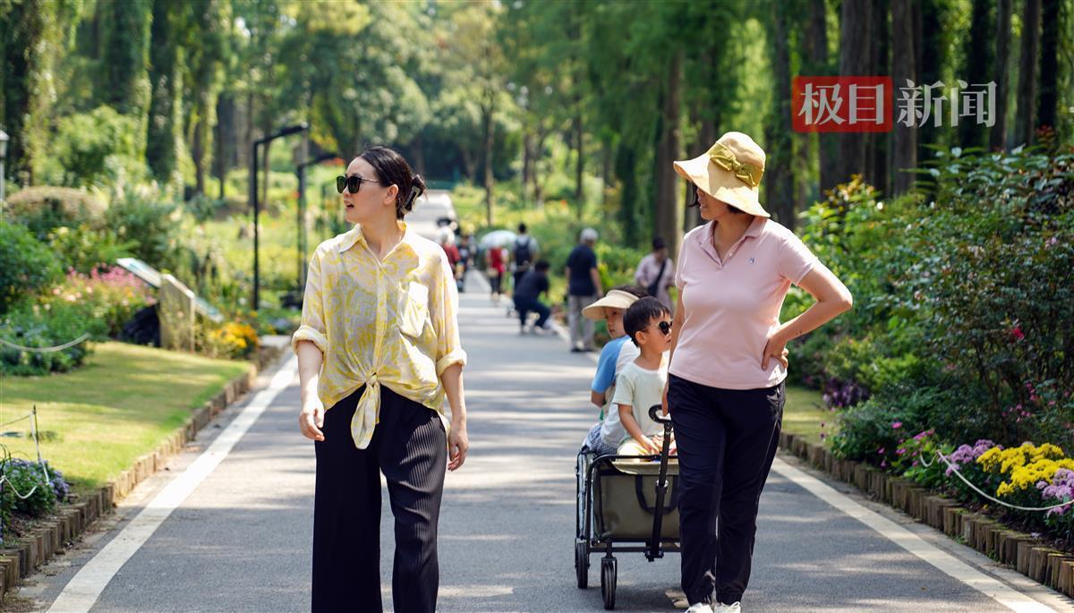 连环夺宝奖金级别图